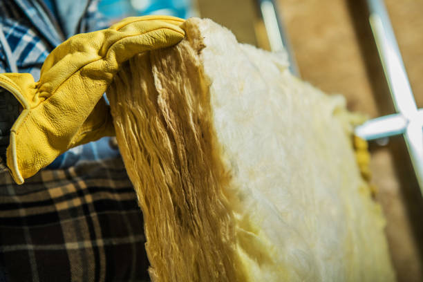 Best Insulation Installation Services in Haslett, MI