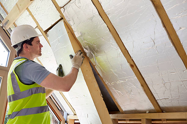 Best Residential Insulation in Haslett, MI